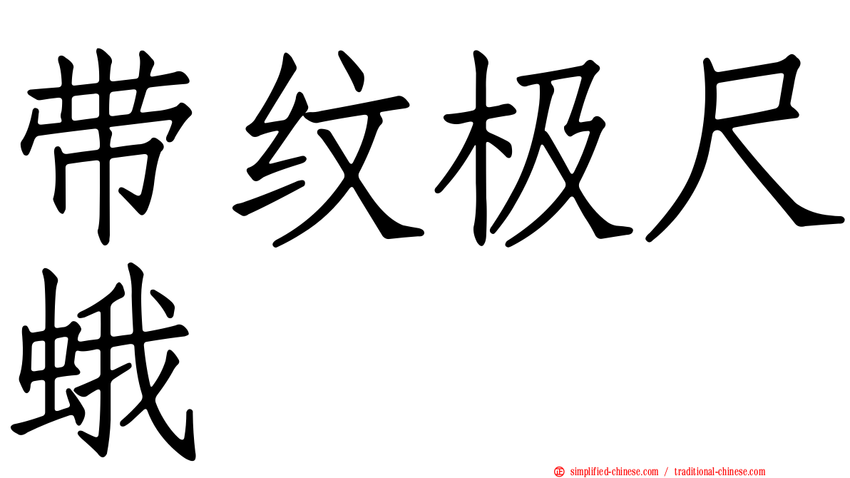 带纹极尺蛾
