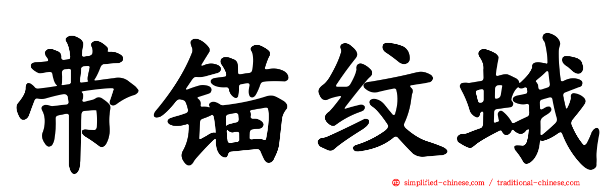 带锚纹蛾