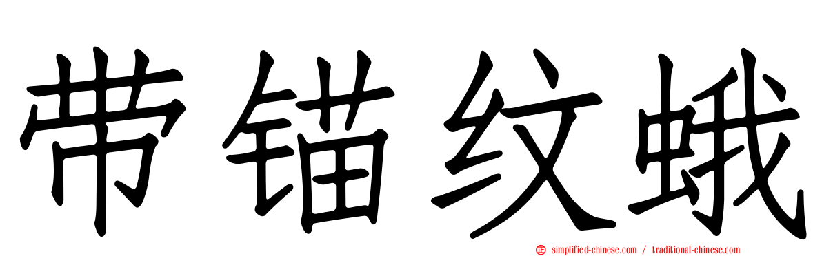 带锚纹蛾