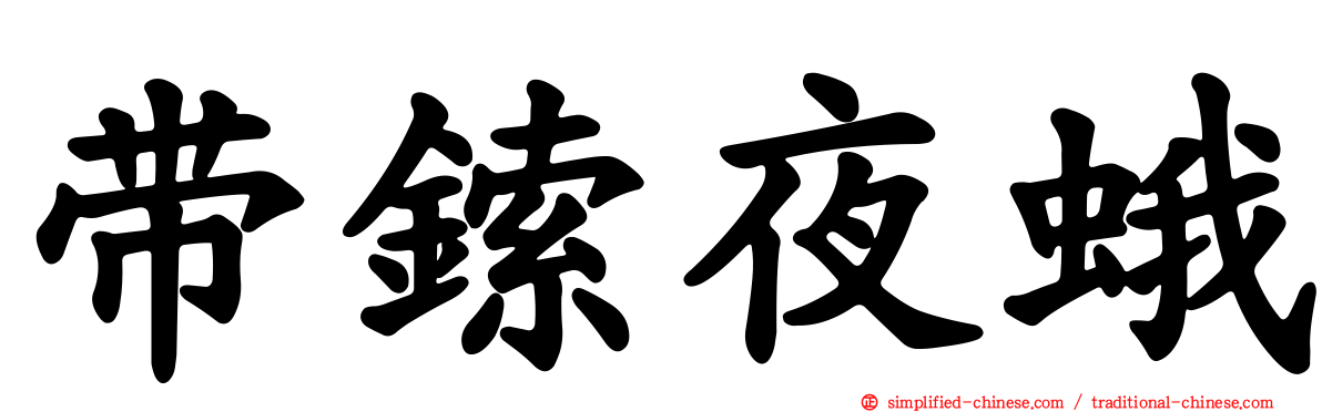 带鎍夜蛾