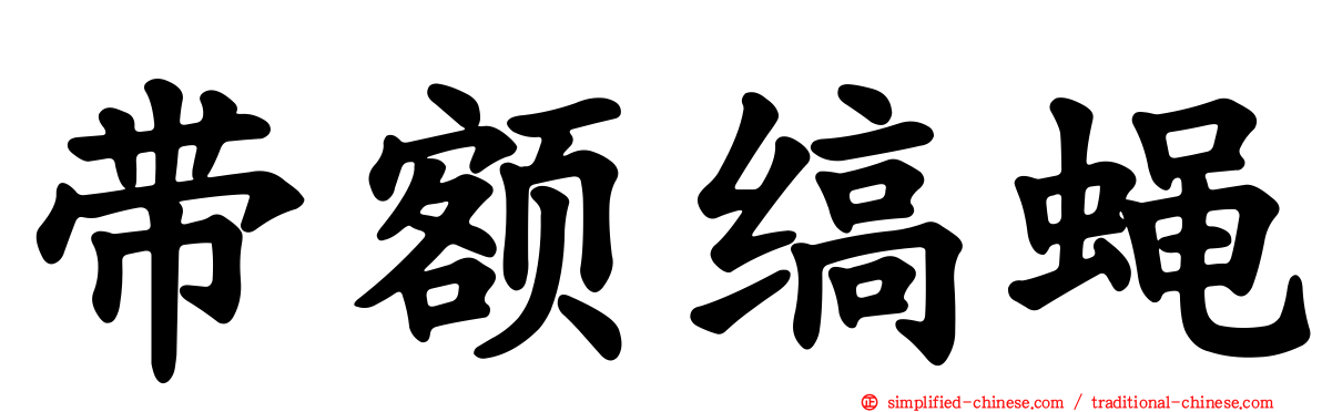 带额缟蝇