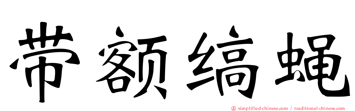 带额缟蝇