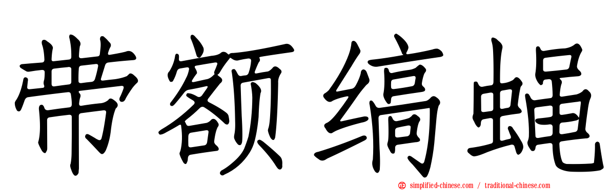 带额缟蝇