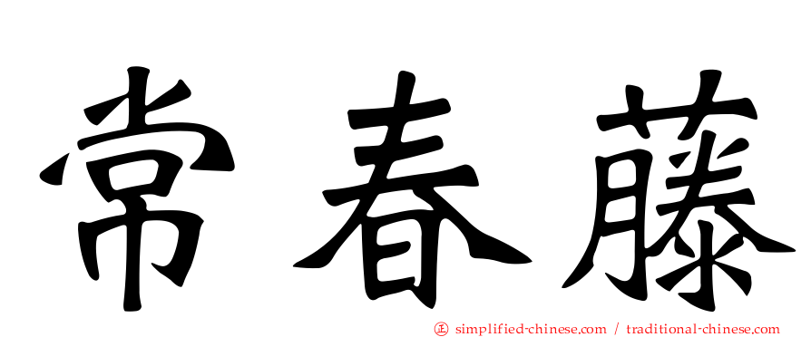 常春藤