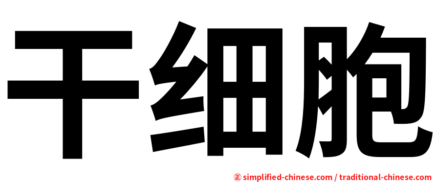 干细胞