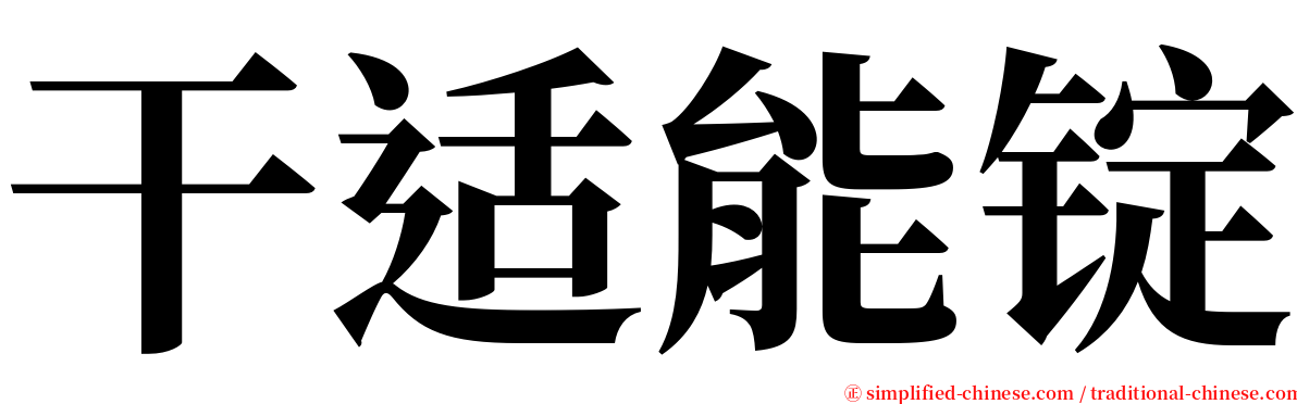干适能锭 serif font