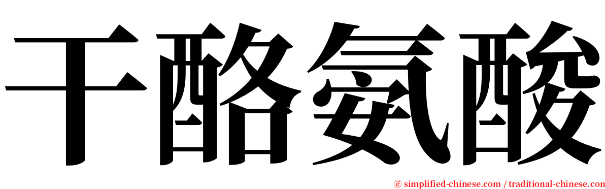 干酪氨酸 serif font