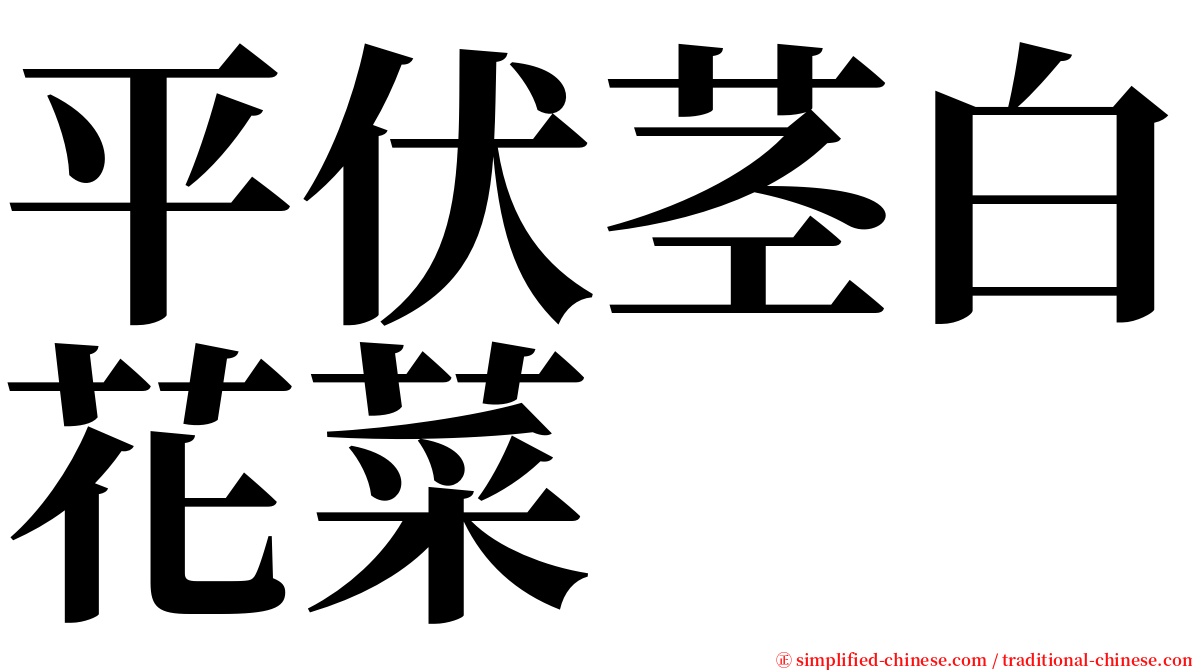 平伏茎白花菜 serif font