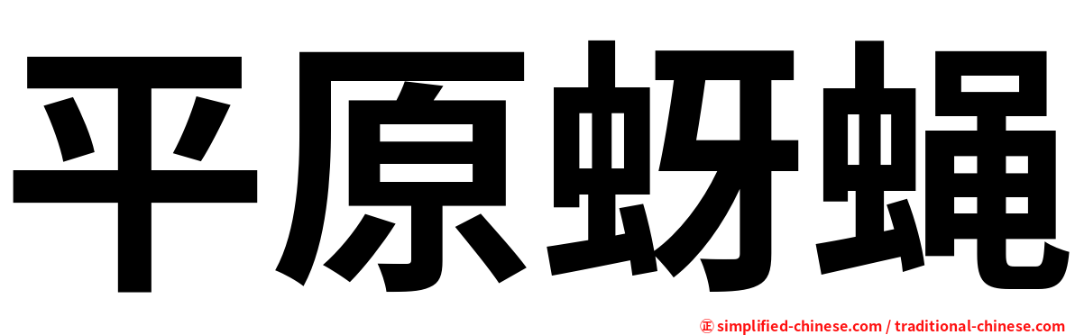 平原蚜蝇