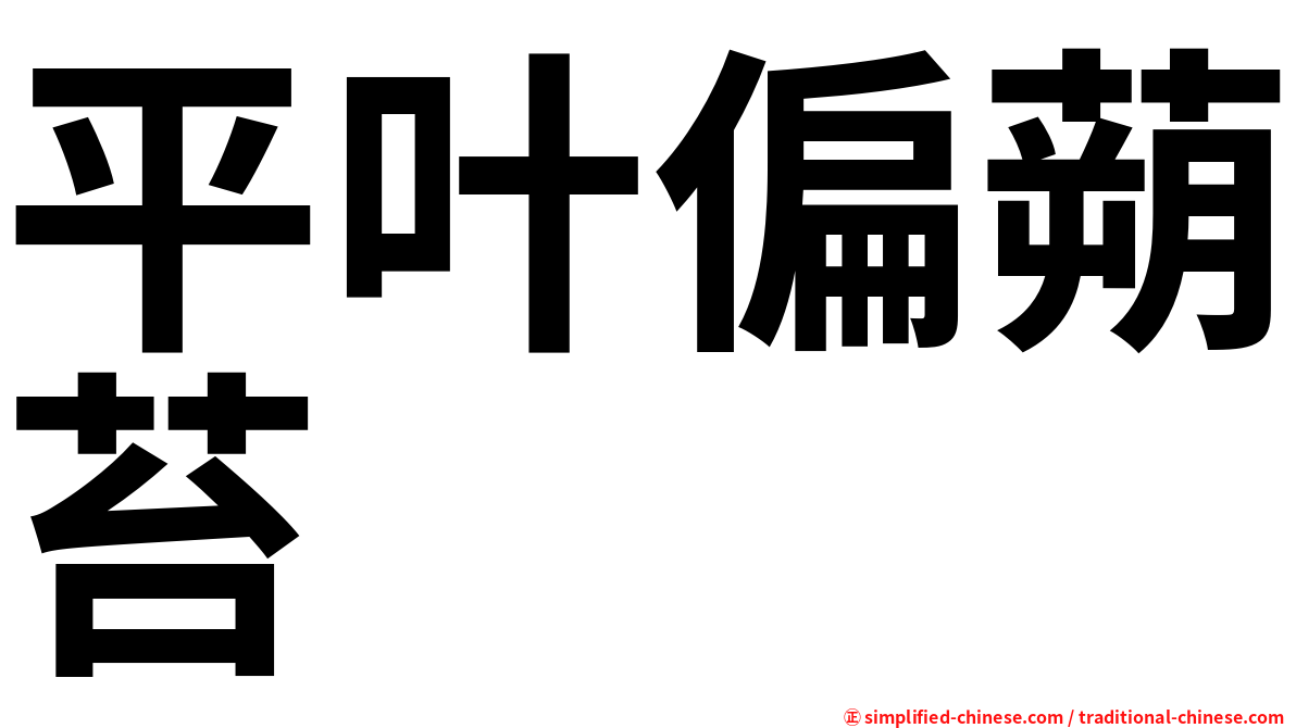 平叶偏蒴苔