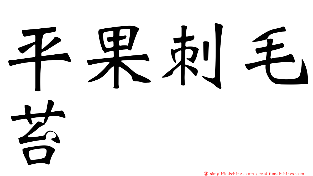 平果刺毛苔