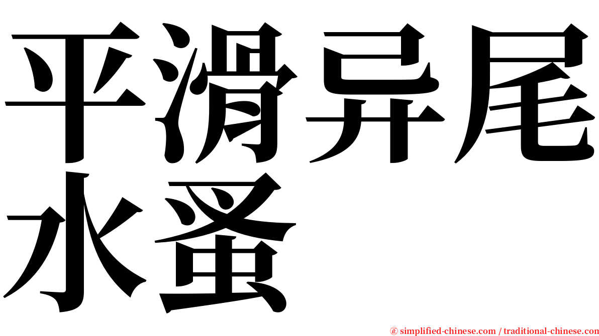 平滑异尾水蚤 serif font
