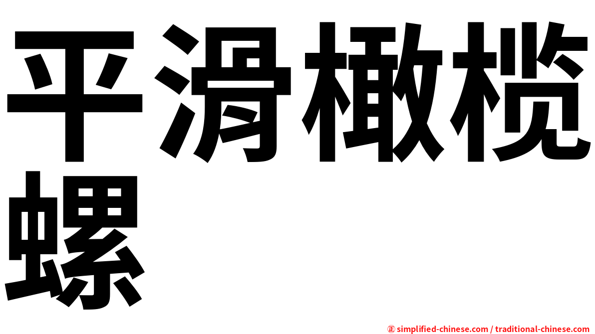 平滑橄榄螺