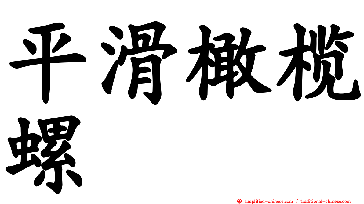 平滑橄榄螺