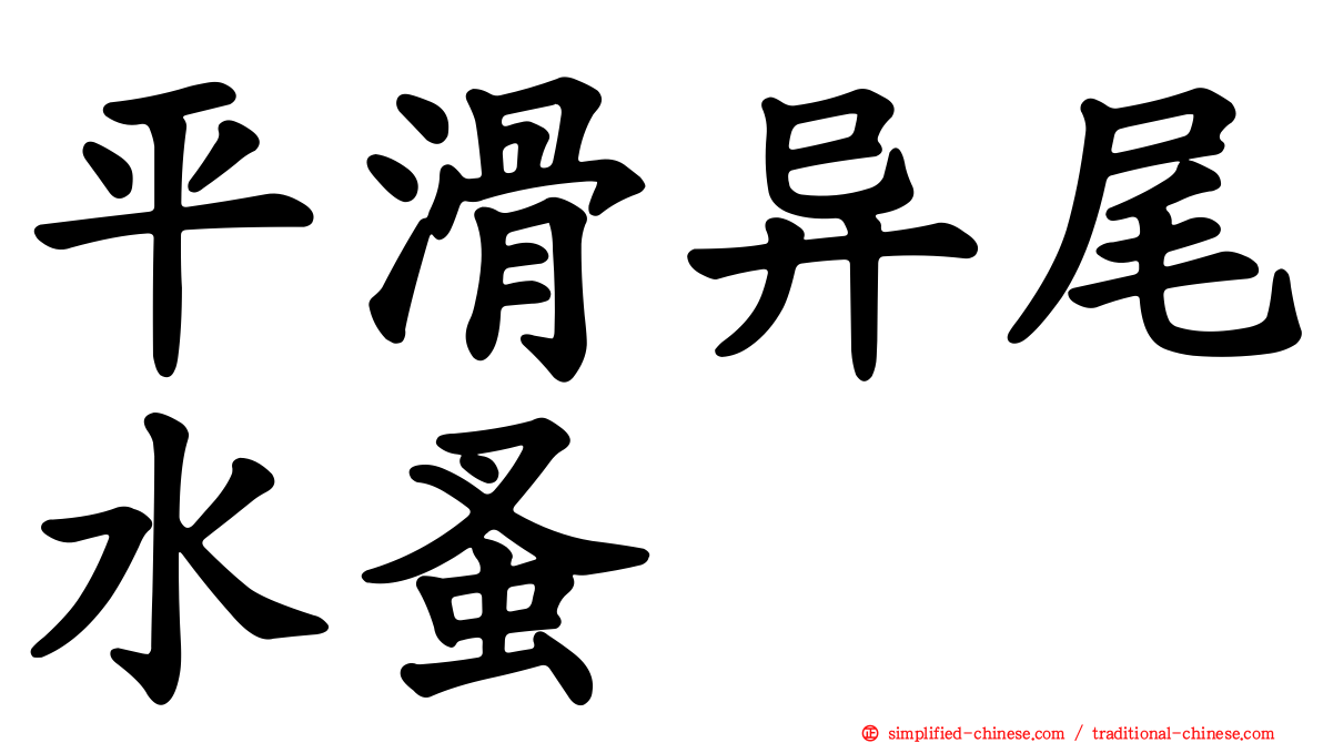 平滑异尾水蚤