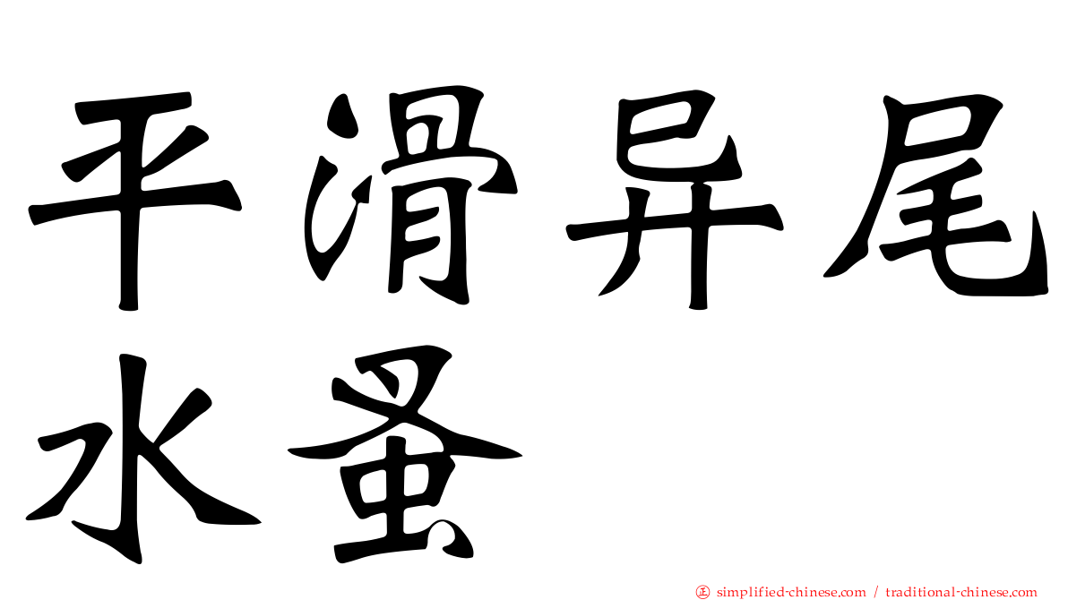 平滑异尾水蚤