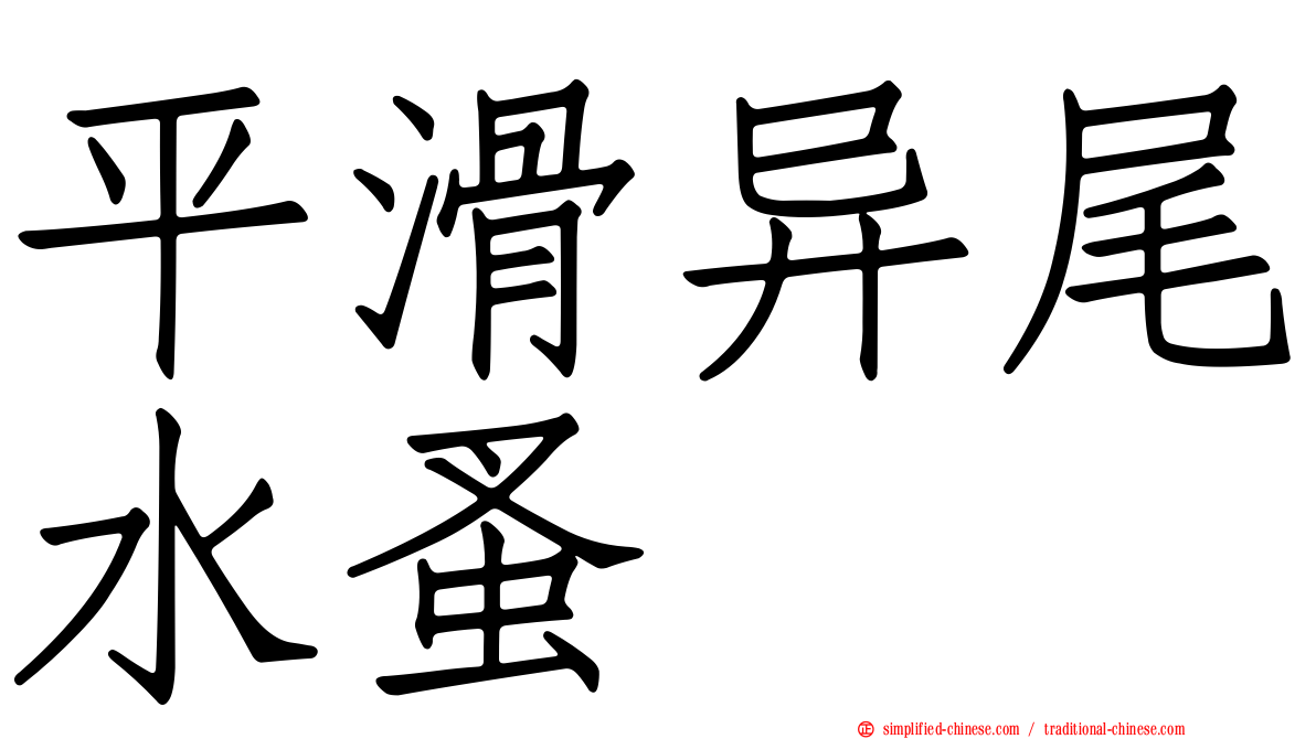 平滑异尾水蚤