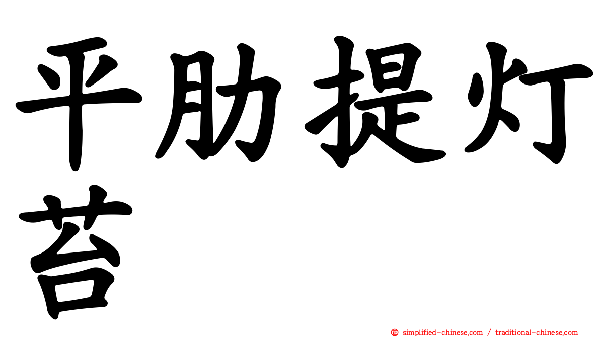 平肋提灯苔