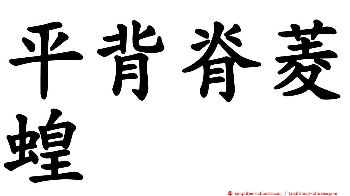 平背脊菱蝗