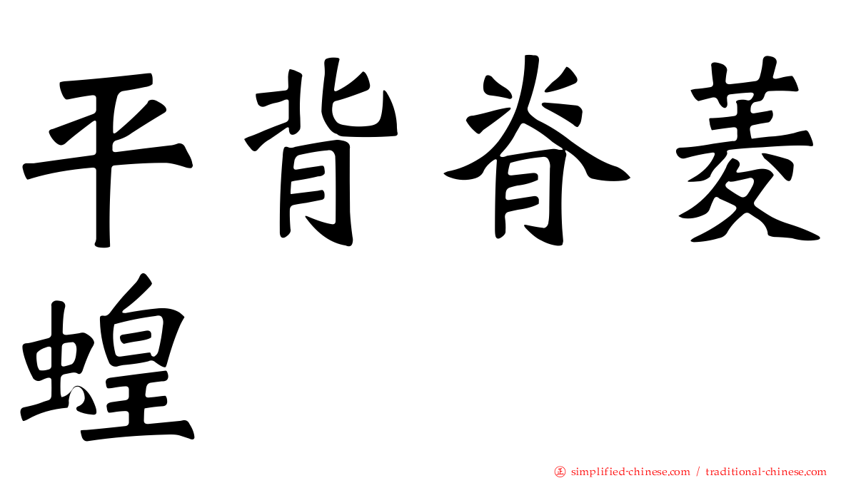 平背脊菱蝗