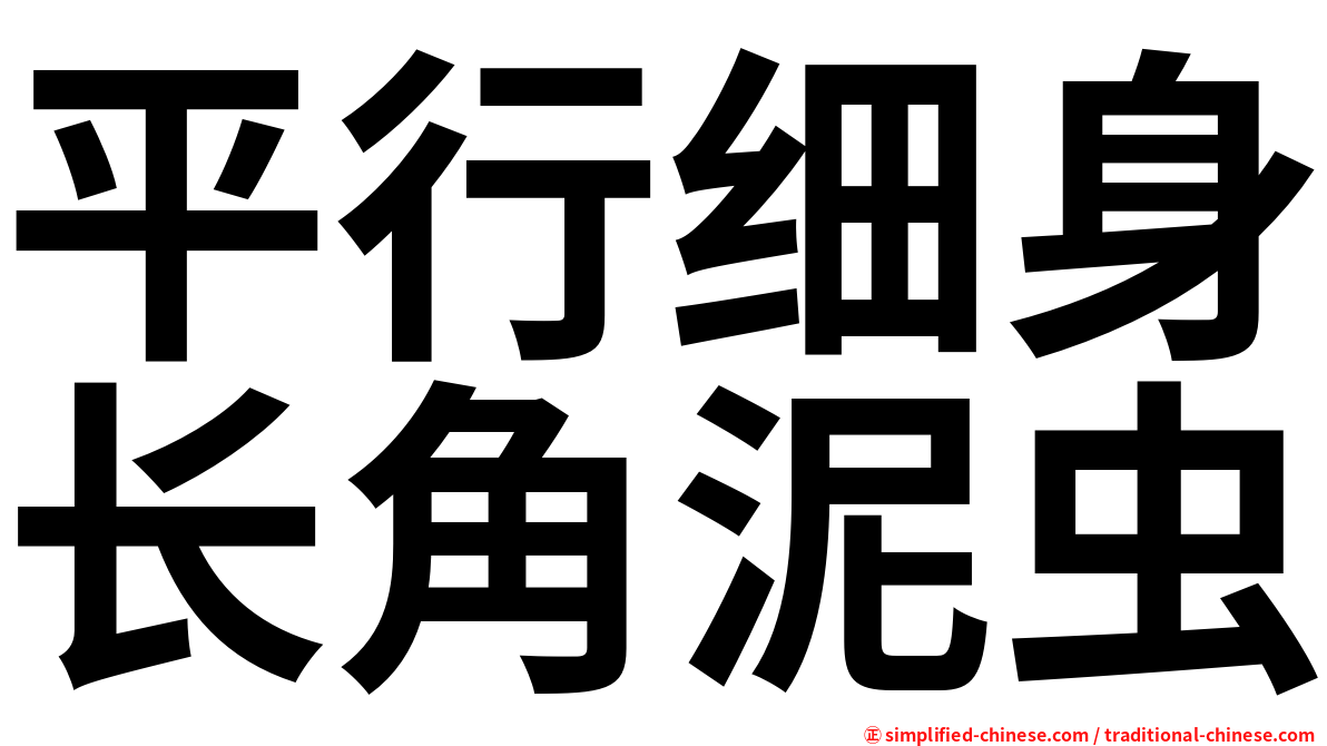 平行细身长角泥虫