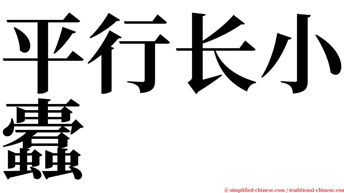 平行长小蠹 serif font