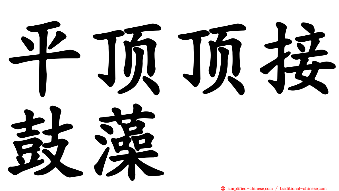 平顶顶接鼓藻