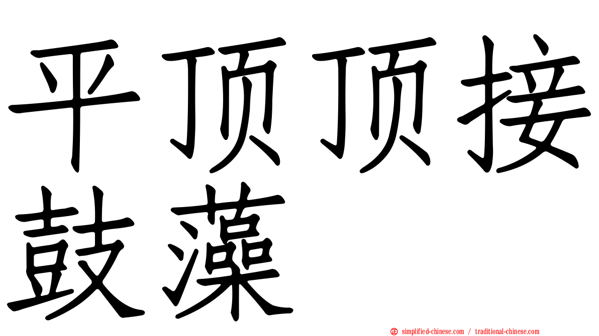 平顶顶接鼓藻