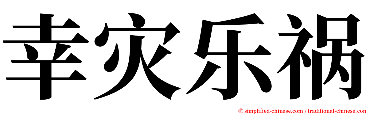 幸灾乐祸 serif font