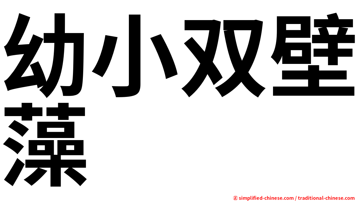 幼小双壁藻