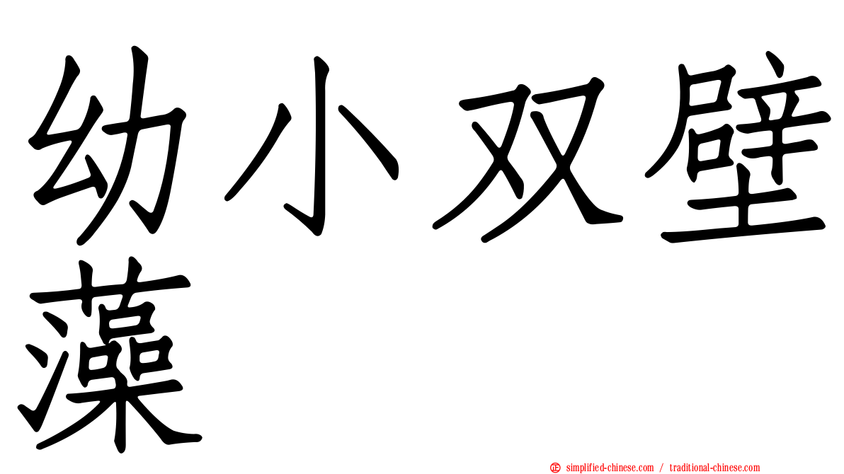 幼小双壁藻