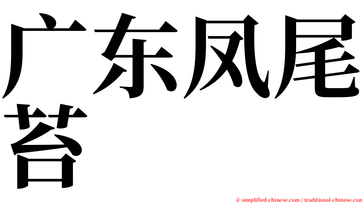 广东凤尾苔 serif font