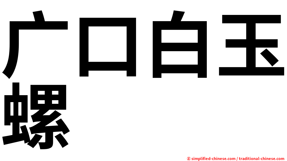 广口白玉螺