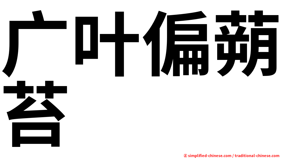 广叶偏蒴苔