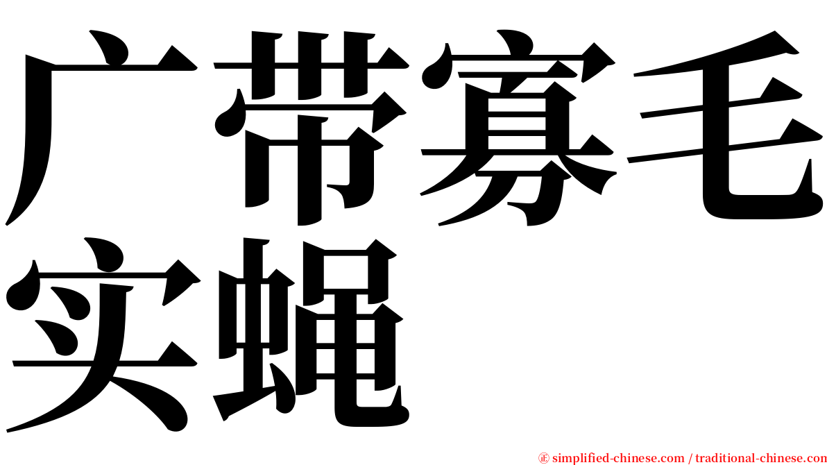 广带寡毛实蝇 serif font