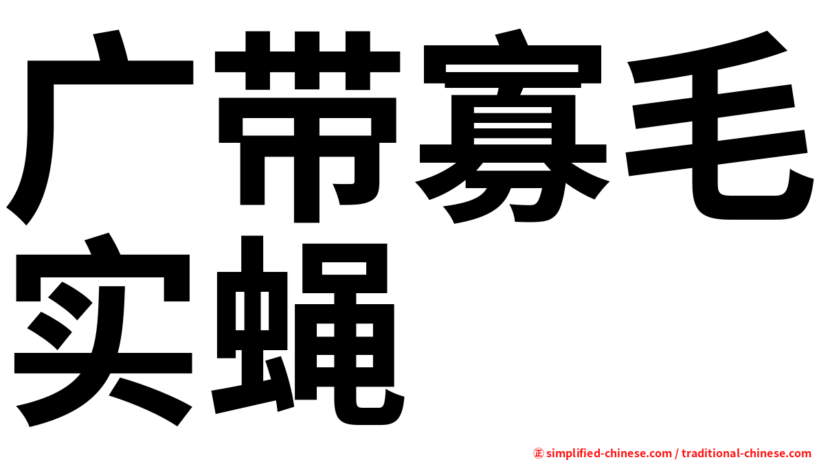 广带寡毛实蝇