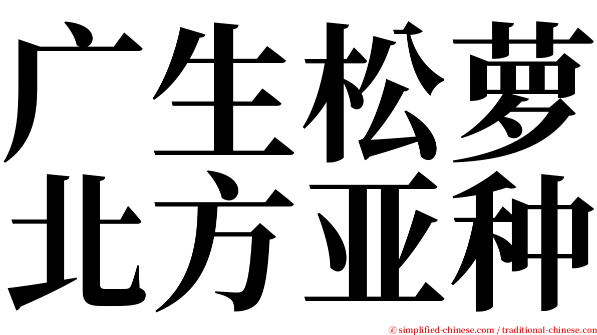 广生松萝北方亚种 serif font