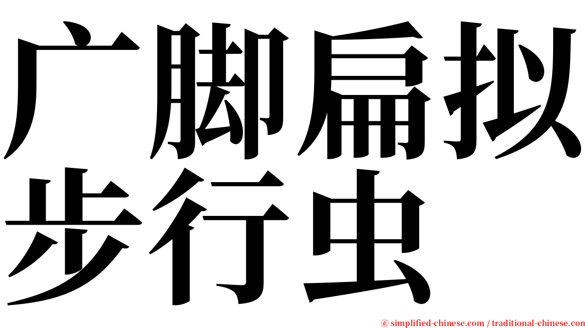 广脚扁拟步行虫 serif font
