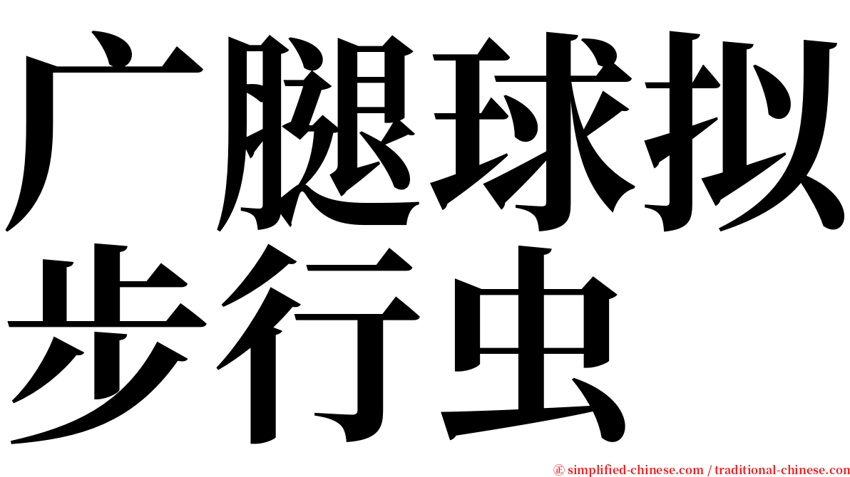 广腿球拟步行虫 serif font