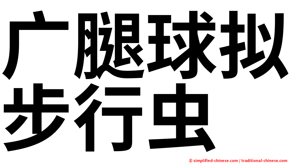 广腿球拟步行虫