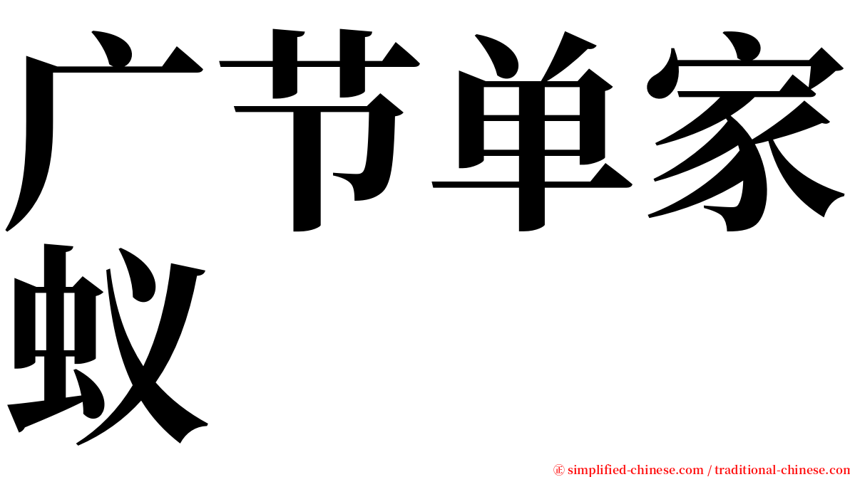 广节单家蚁 serif font