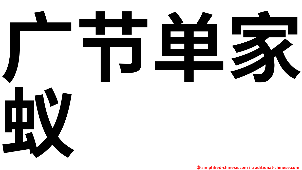 广节单家蚁
