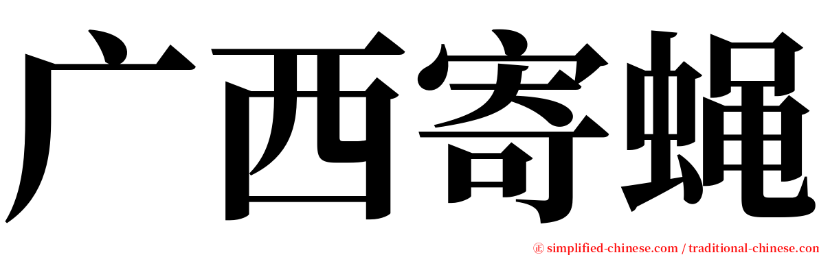 广西寄蝇 serif font