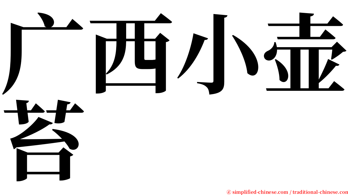 广西小壶苔 serif font