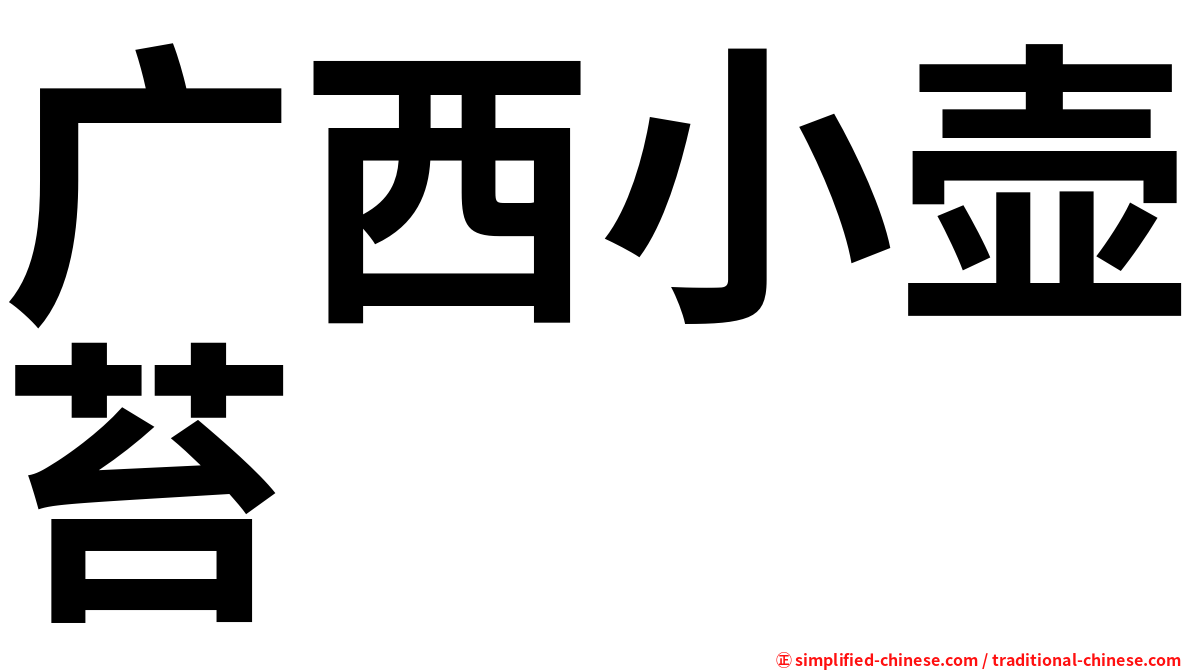 广西小壶苔