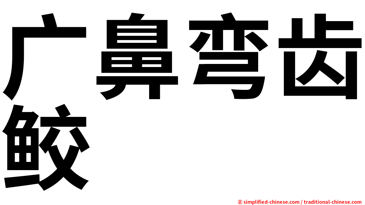 广鼻弯齿鲛