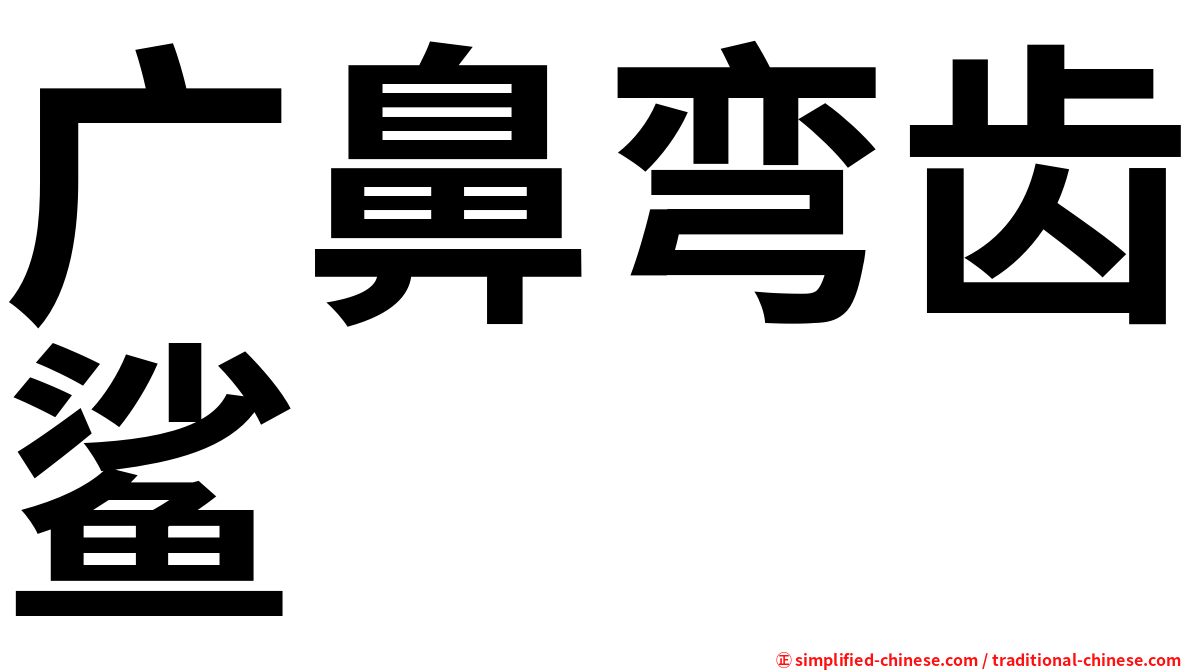 广鼻弯齿鲨