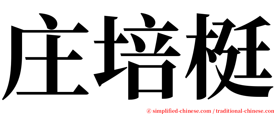 庄培梃 serif font
