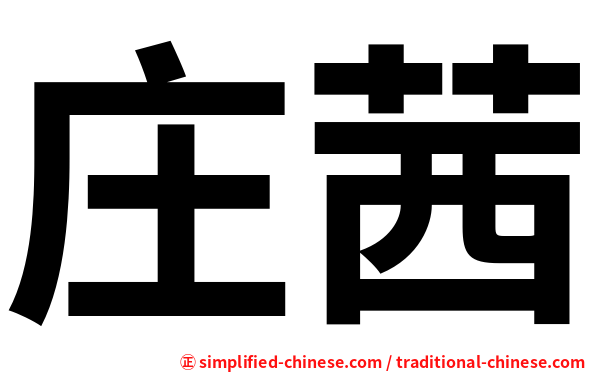 庄茜