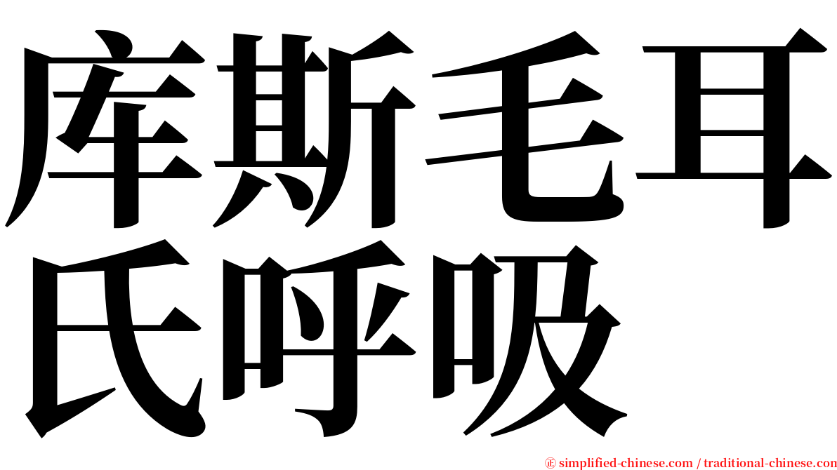 库斯毛耳氏呼吸 serif font
